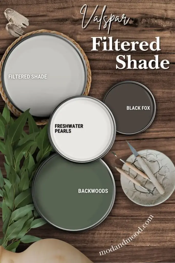 Valspar Filtered Shade: Best Coordinating Colors! in 2025 | Valspar
