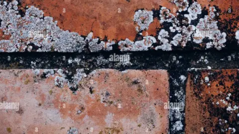 What Causes White Spots On Brick Walls at Karen Cutright blog