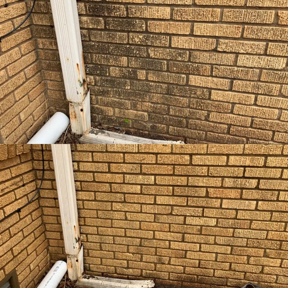 What Kills Mold On Brick Walls at Audrey Stier blog
